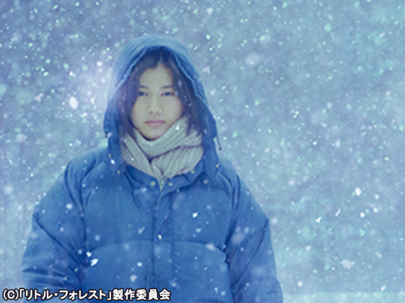 littleforest0624