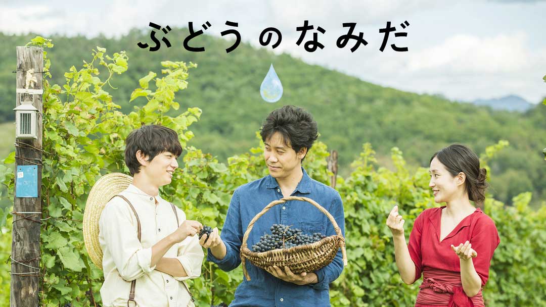 budo-namida1101