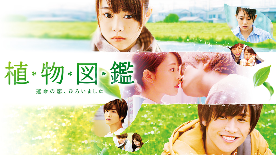 navi-news1114_thumb05
