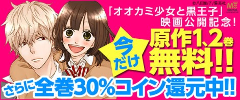 videopass_ookami_bookpass